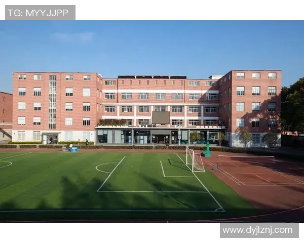 上海排球队重塑辉煌之路：从传统到现代的杯赛征程探秘