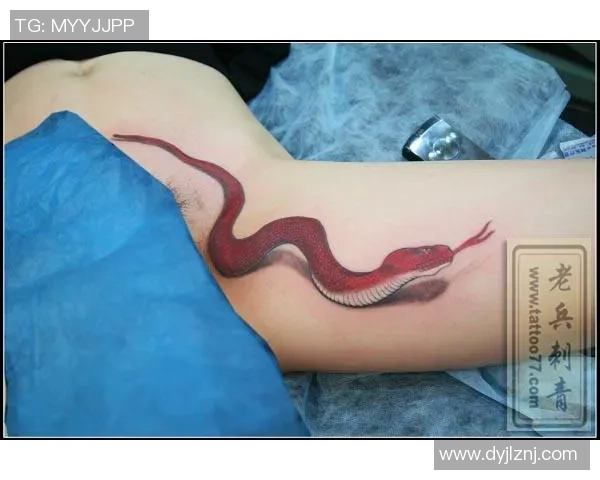 足球明星独特蛇纹身高清大赏展现个性与魅力 足球明星独特蛇纹身高清大赏展现个性与魅力