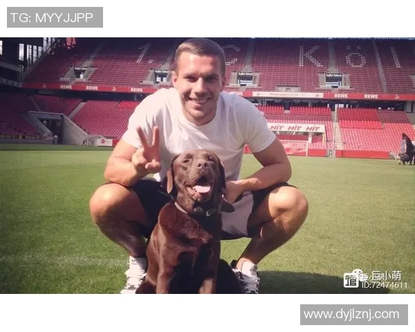 足球明星驾车风采尽显瞬间捕捉车上生活的独特魅力与个性展示 足球明星驾车风采尽显瞬间捕捉车上生活的独特魅力与个性展示