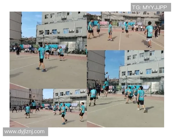 最新排球节奏TOP10：重庆排球队领跑